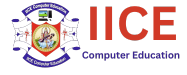 IICE computer education logo