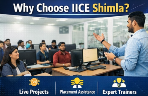 why choose iice shimla for digital marketing course with placement support